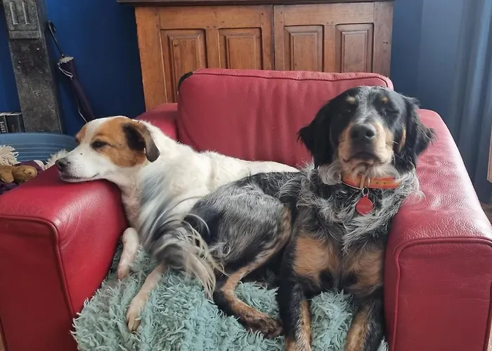 Staying With The Artist